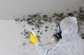 Mold Odor Removal Services in Upper Montclair, NJ